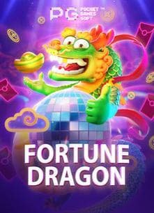 qaidi 804 Live Casino